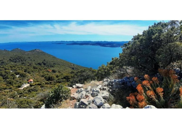 Appartamenti More – foto 18