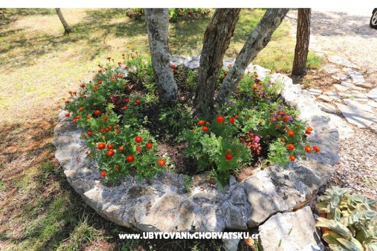 Appartamenti Suzana – foto 18