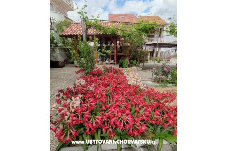 Appartamenti Ivan  – foto 14