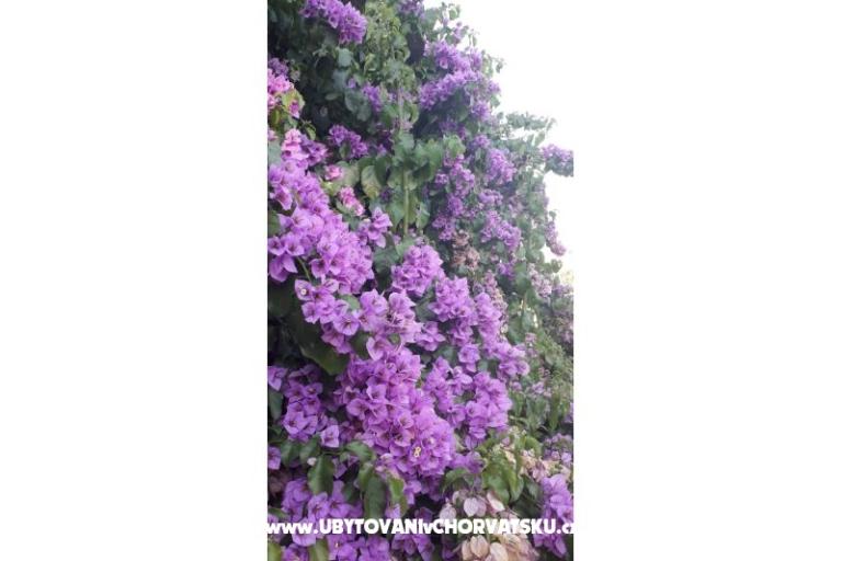 Appartamenti Danica – foto 4