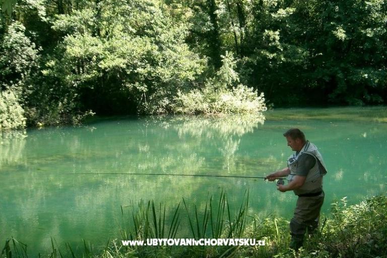 Appartamenti Lucić – foto 15