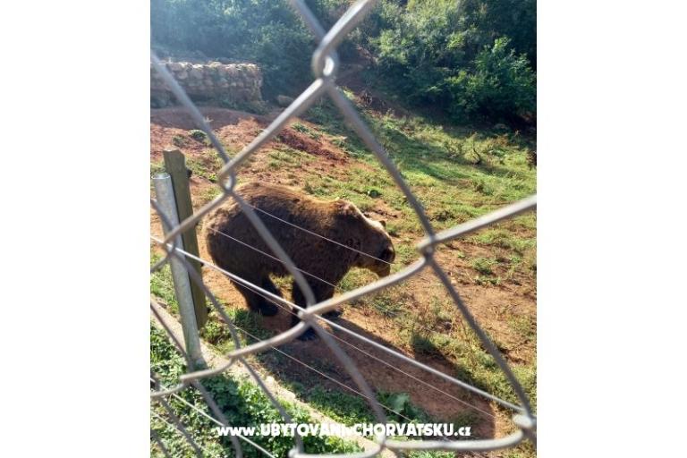 Appartamenti Paradiso – foto 11
