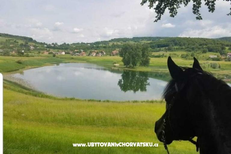 Appartamenti Paradiso – foto 7