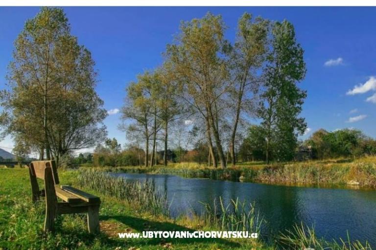 Appartamenti Paradiso – foto 8