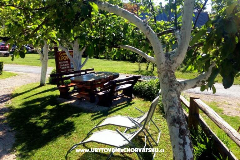 Guest Casa Lipov Hlad – foto 11
