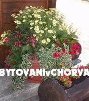 Casa Spoljaric – foto 7