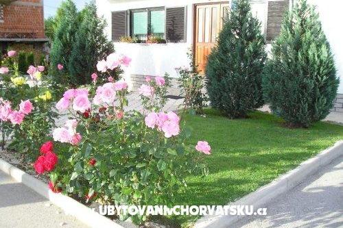 Casa Osana – foto 11