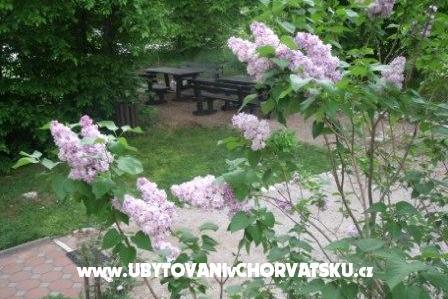 Camere Veronika – foto 13