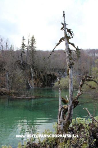Appartamenti Marija – foto 6