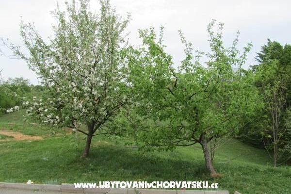 Camere Sanja – foto 11