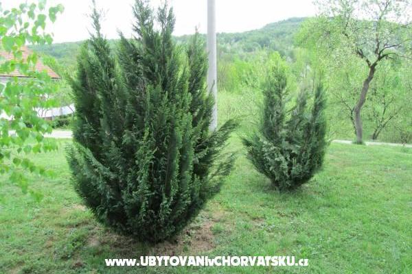 Camere Sanja – foto 13