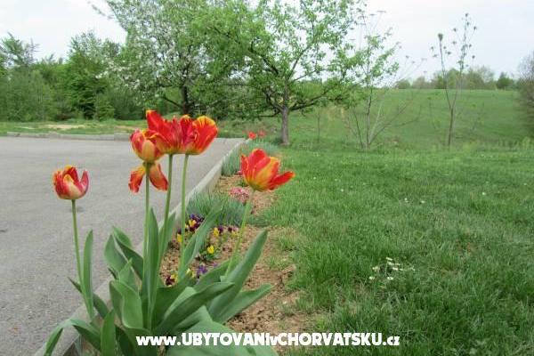 Camere Sanja – foto 14