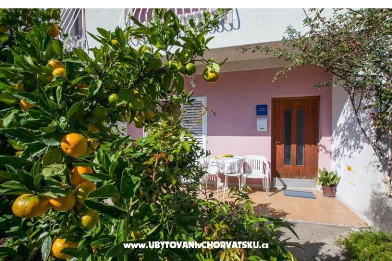 Appartamento Olenka – foto 5