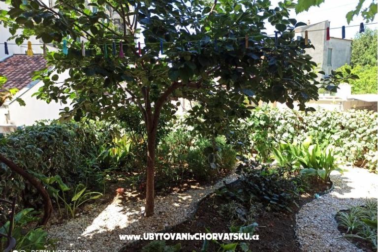 Appartamenti Flora – foto 2