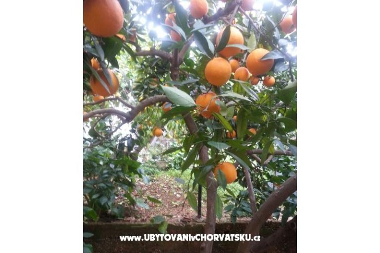 Appartamenti Mila – foto 14