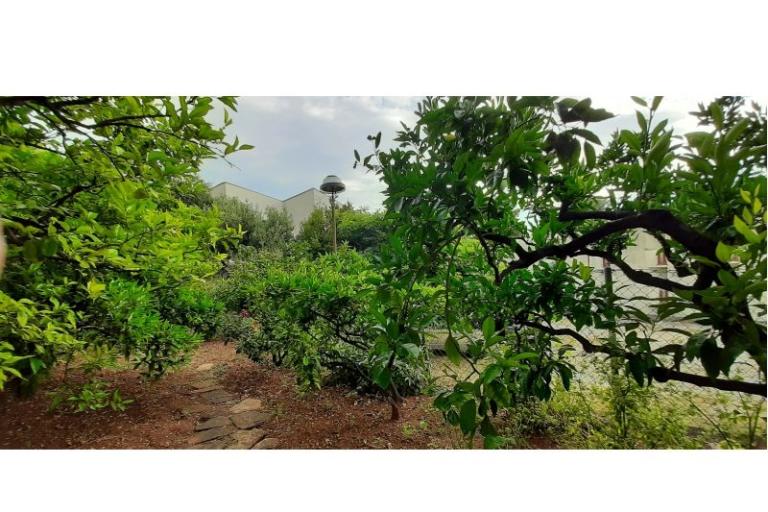 Appartamenti Mila – foto 3