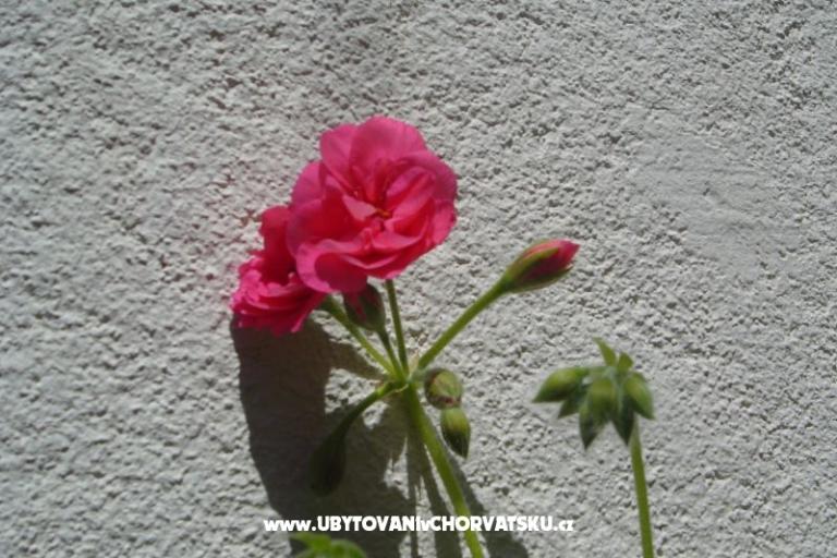 Appartamenti Sumić – foto 13