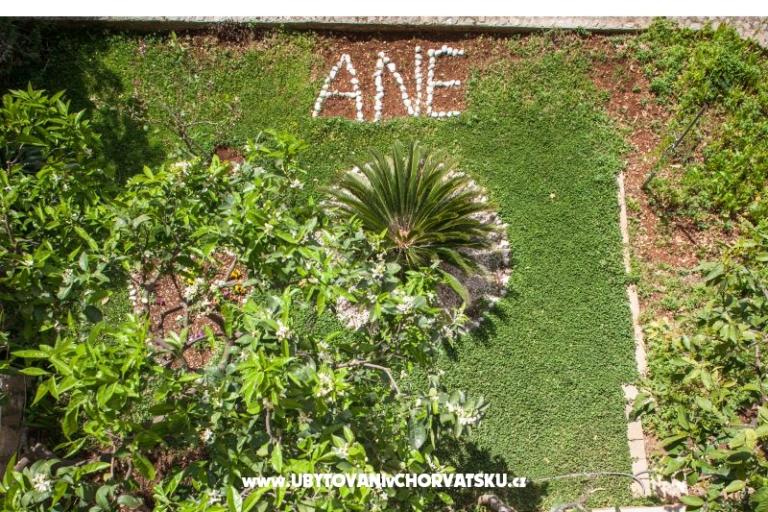 Appartamenti Ane – foto 8