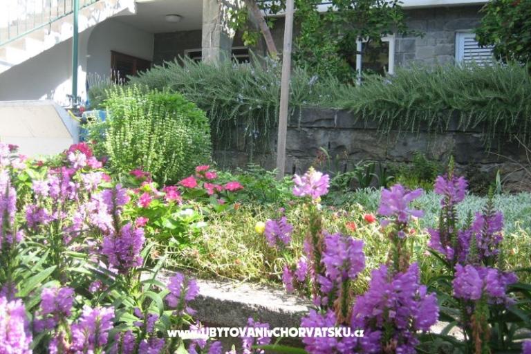 Appartamenti Draga – foto 3
