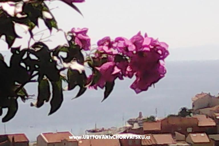Appartamenti Kelava Željko – foto 16