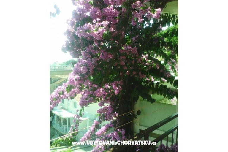 Appartamenti Kelava Željko – foto 8