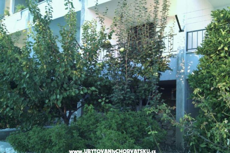 Appartamenti Brusje – foto 3