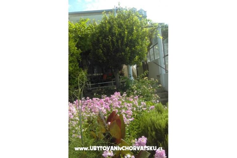 Appartamento Adria – foto 10