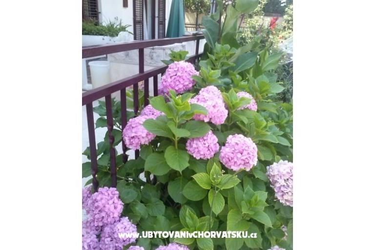 Appartamenti Dana – foto 11