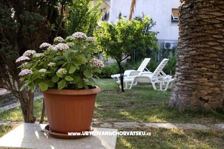Appartamenti Domeniko – foto 7