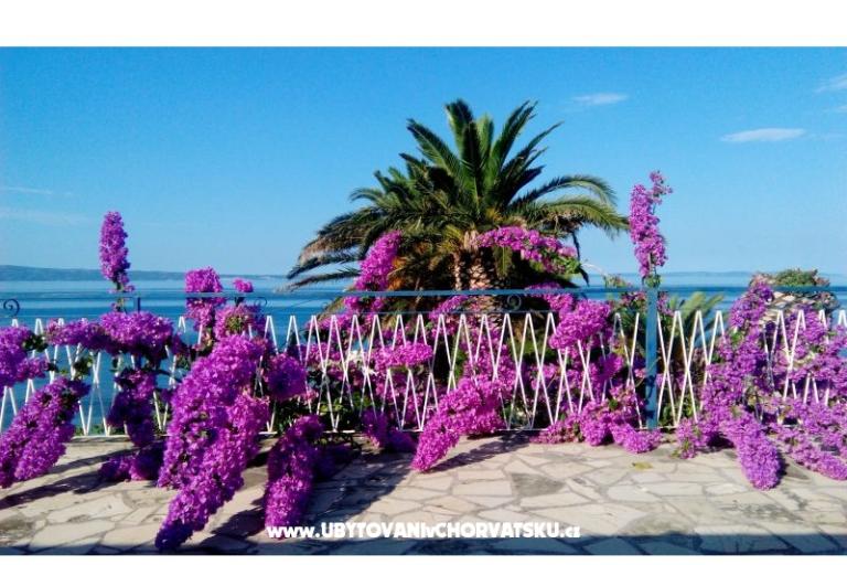 Appartamenti Juradin – foto 10