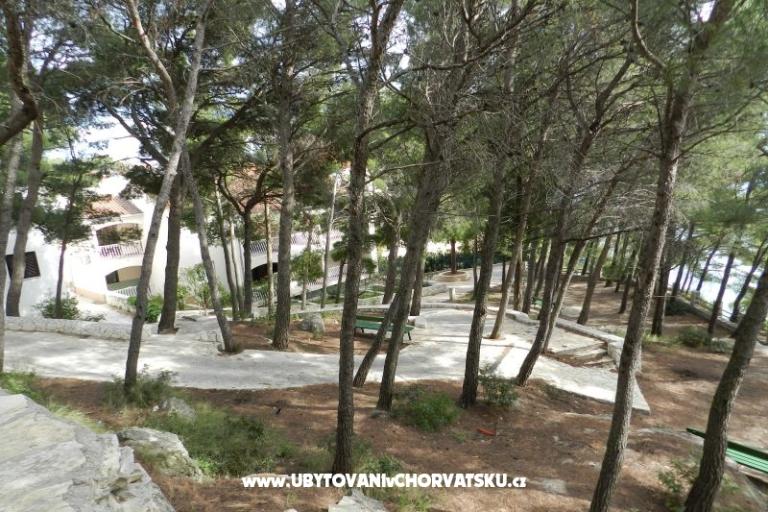 Appartamenti Lavica – foto 6