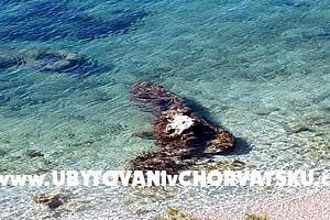Appartamenti Marija – foto 8