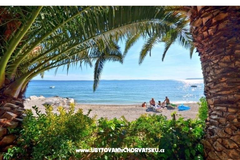 Appartamenti Palme – foto 4