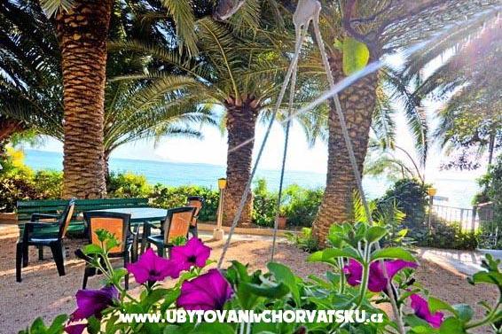 Appartamenti Palme – foto 9
