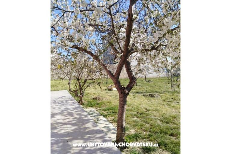 Appartamenti Renić – foto 13