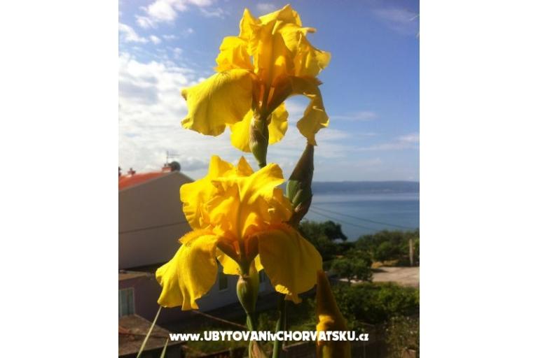 Appartamenti SARA – foto 13