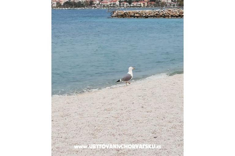 Appartamenti Plave oči  – foto 6