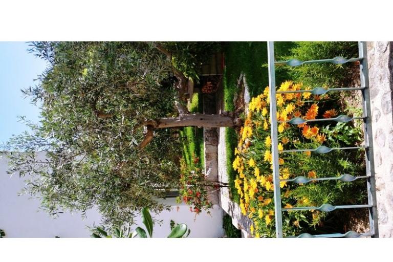Appartamenti Mršić – foto 6