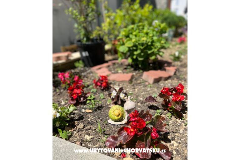 Appartamento lux with garden – foto 18