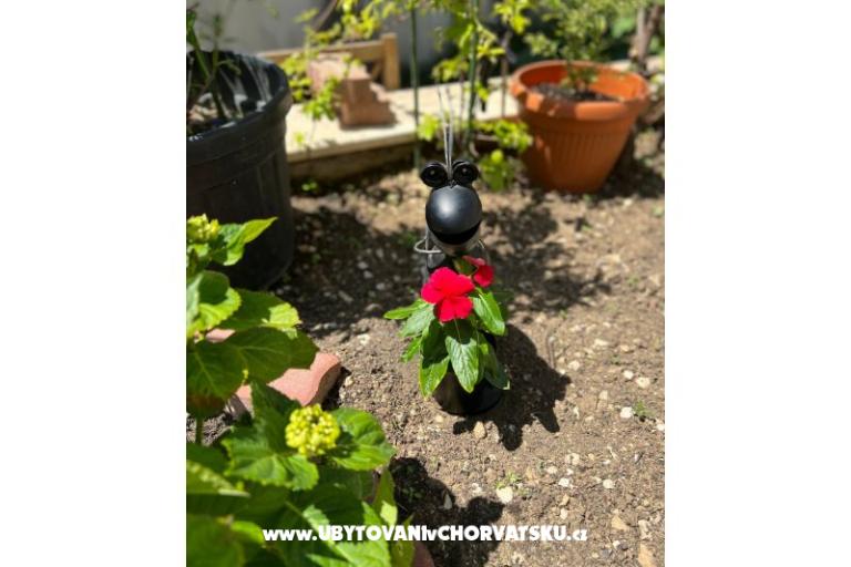 Appartamento lux with garden – foto 19