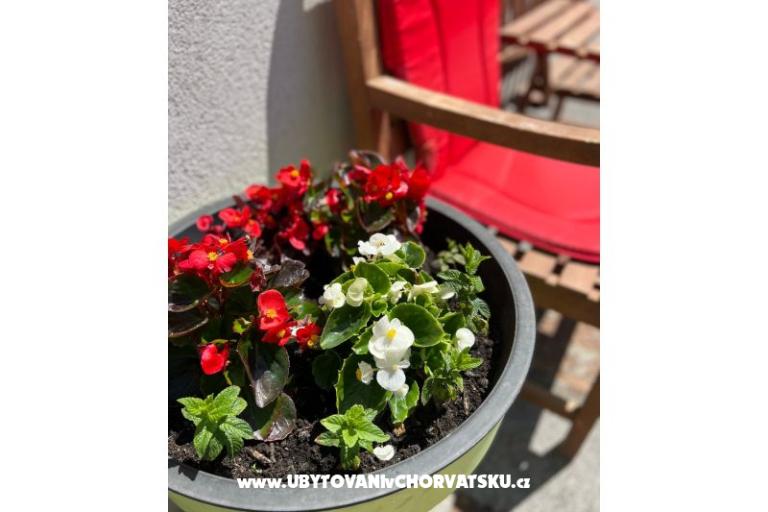 Appartamento lux with garden – foto 20