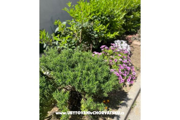 Appartamento lux with garden – foto 24