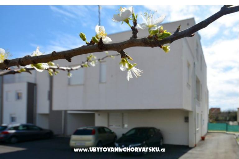 Appartamento lux with garden – foto 26