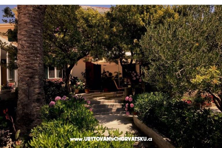 Appartamenti & Camere Tomas – foto 6