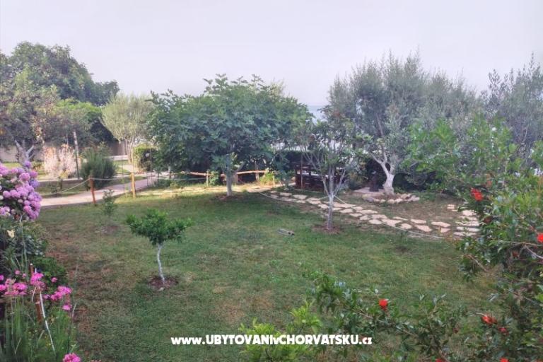 Appartamenti Cappuccino   – foto 7