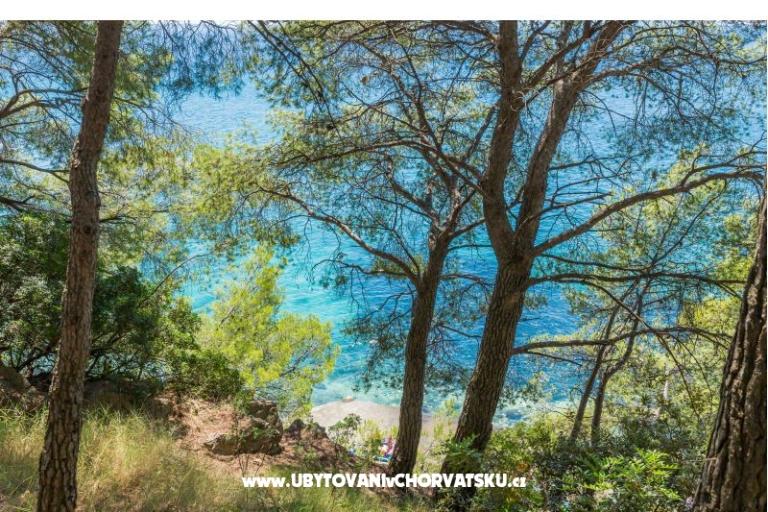Appartamento Lavica Seaside – foto 16