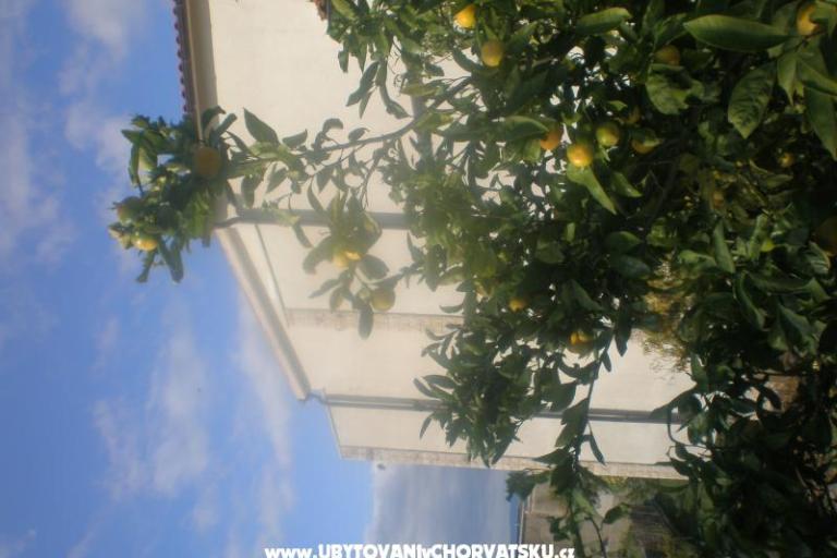 Appartamenti Mandarić  – foto 15