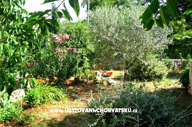 Appartamento Nadia – foto 14