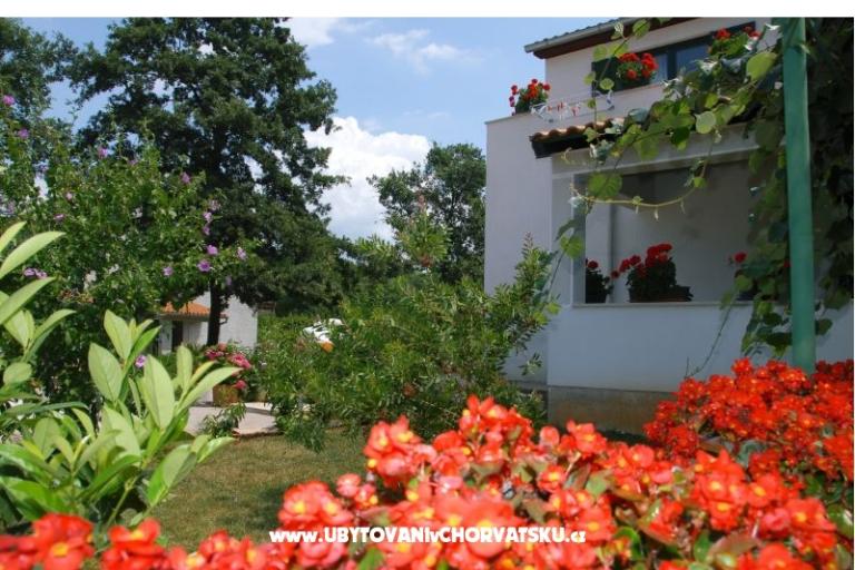 Appartamenti Bauk – foto 3