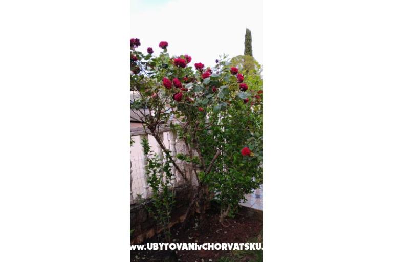 Appartamenti Dragica! – foto 28